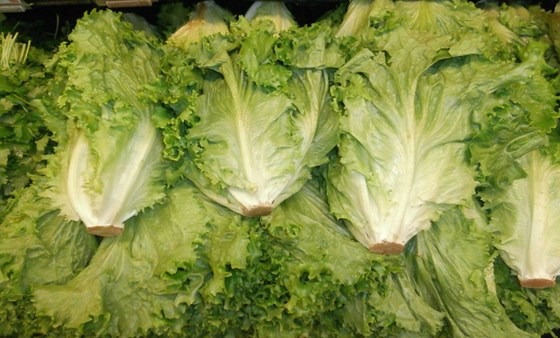 A bunch of leafy lettuce