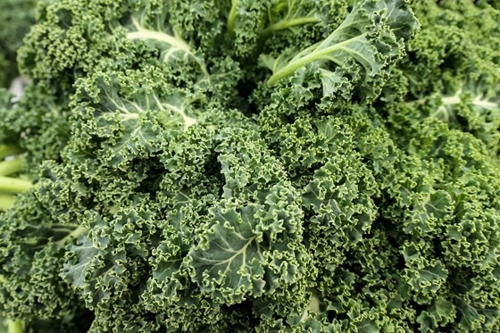 A bundle of fresh kale