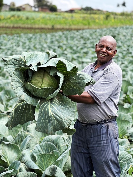 Man holding cabbage