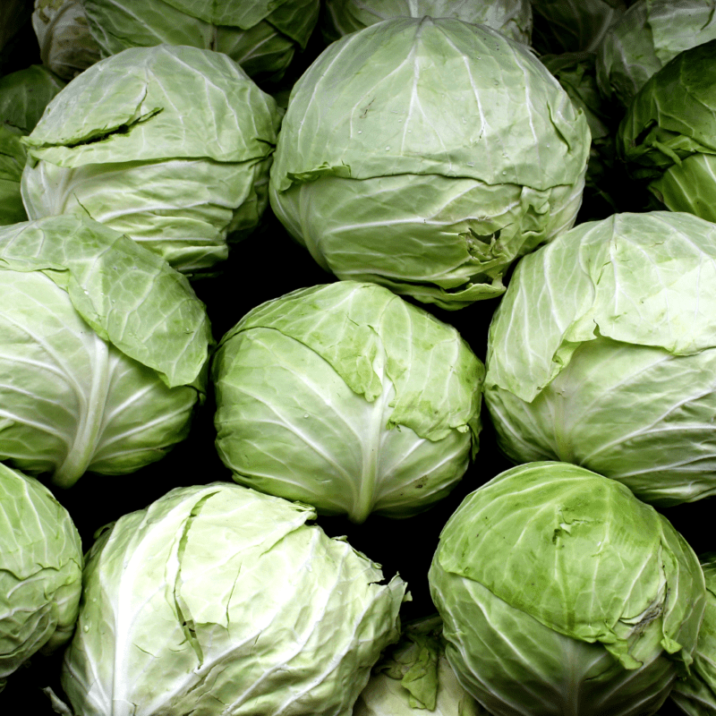 A bunch of big cabbage