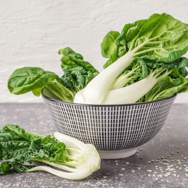 Washed pak choi on table in a bowl