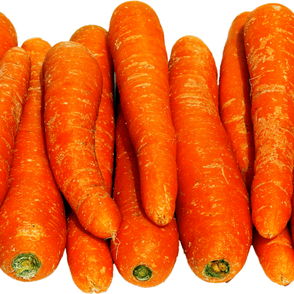 Jamaican jumbo carrots