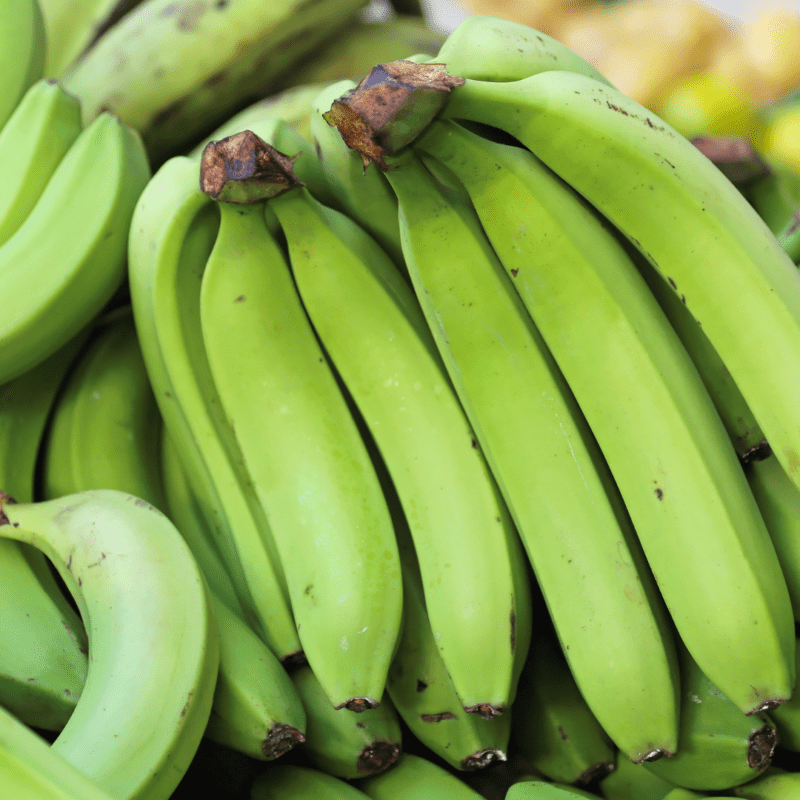 A bunch of green bananas