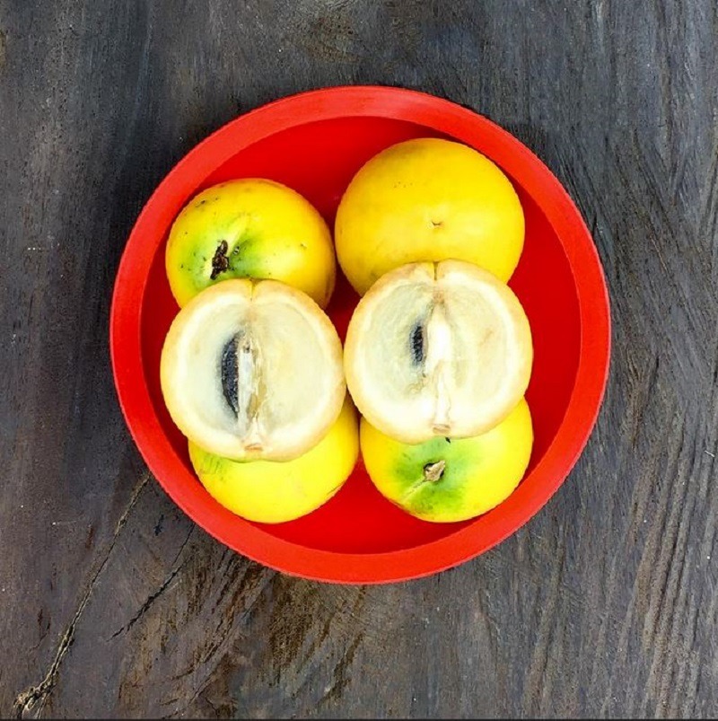 Yellow abiu fruits in a bowl