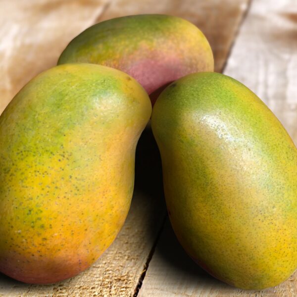 Vibrant east indian mango – a succulent tropical fruit with rich golden hues, known for its sweet and juicy flavor.